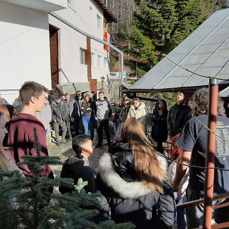Casa Cristina_ Cabana Szászbuda Kültér fotó