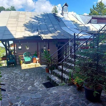 Casa Cristina_ Cabana Szászbuda Kültér fotó