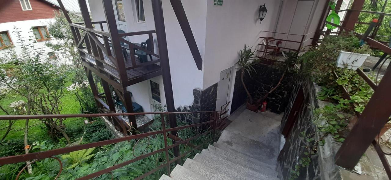 Casa Cristina_ Cabana Szászbuda Kültér fotó