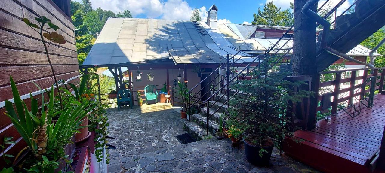 Casa Cristina_ Cabana Szászbuda Kültér fotó